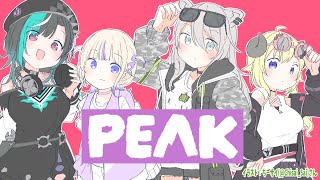 角巻わための配信のサムネイル画像
