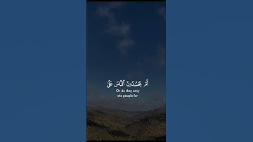 #سوره_النساء #أحمد_العجمي