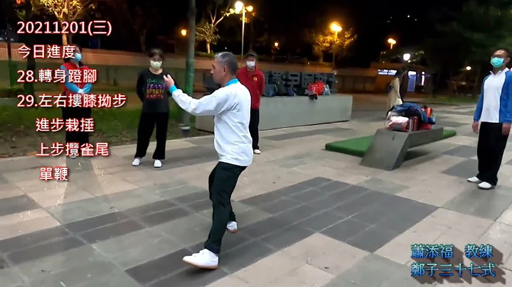 郑子太极拳37式 分段教学~七。28 转身蹬脚，29 左右搂膝拗步 进步栽捶 上步揽雀尾 单边。 - 天天要闻