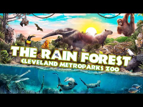 Vídeo: No zoológico de Cleveland?