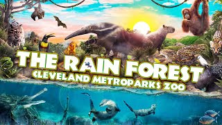 Zoo Tours: The Rain Forest | Cleveland MetroParks Zoo
