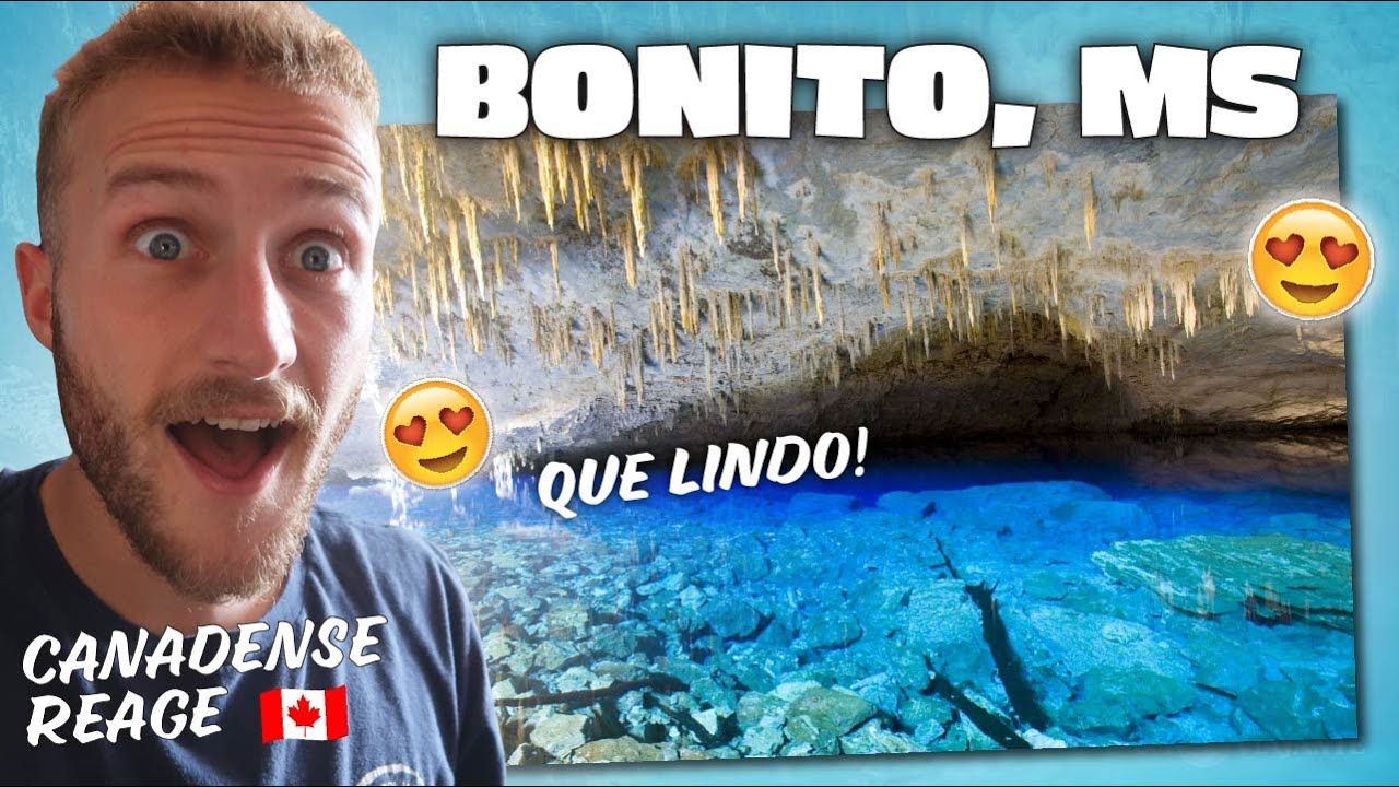 O lugar mais LINDO do BRASIL?? Canadense Reage 🇨🇦 | Bonito, Mato Grosso do Sul