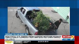Man steals flowers from Napiers midtown market