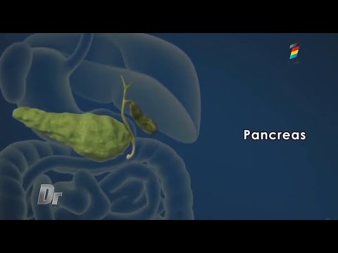 Pancreatita, simptome, complicaţii, investigaţii, rolul alimentaţiei corecte şi ce e strict interzis