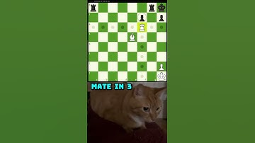 Chiếu hết 3 nước khó. Mate in 3 - 19 #chess #covualogic