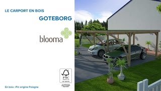 Carport en bois Göteborg BLOOMA (678732) Castorama
