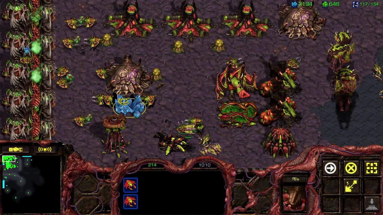 [헤네시 Live] 스타 빨무 팀플 1:1