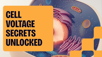 Cell Membrane Voltage: The Hidden Key to Energy, Aging & Cellular Health