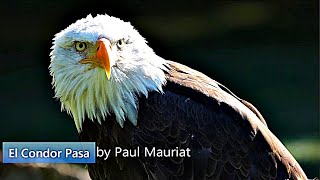 ❤♫ Paul Mauriat - El Condor Pasa（老鷹之歌）