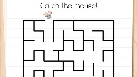 Brain Test Level 24 catch the mouse