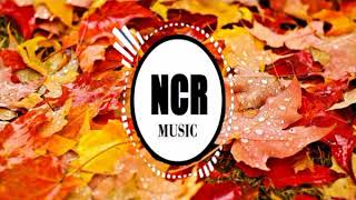 Relaxing Music-Luxery-Causmicno Copyright