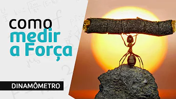 Como se mede uma força?