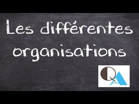 Vidéo: Quelles sont les différentes formes d'organisation des entreprises ?