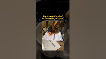 How to study after school when you