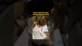How to study after school when you're tired😴👩‍💻💯 #exam #study #studymotivation #motivation #students Wealth