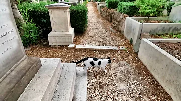 Che vuol dire cimitero acattolico?