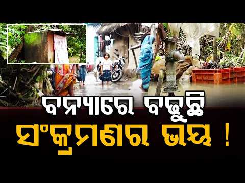 Odisha Flood Aftermath: Disease Threat Looms Due to Unsanitary Conditions & Mosquitoes | Argus News