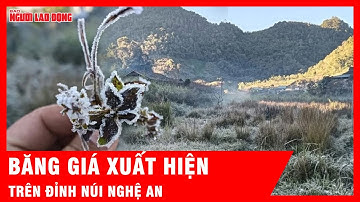 Lạ lùng: Băng giá xuất hiện dày đặc trên đỉnh núi Nghệ An khi nhiệt độ rơi xuống mức âm | Tin tức