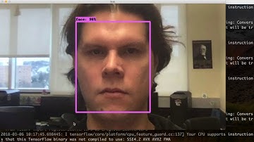 Real-Time Face Video Stabilization using MobileNet SSD WIDERFace and using SIFT as Feature Detection