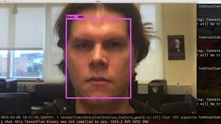 Real-Time Face Video Stabilization using MobileNet SSD WIDERFace and using SIFT as Feature Detection