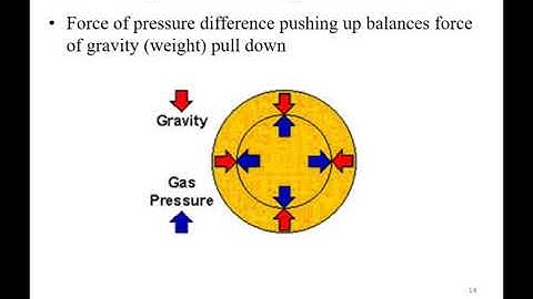 Hydrostatic Equilibrium in the Sun