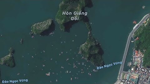 ĐI BẮT NẠT MẤY CON CÁ QUANH VỊNH HẠ LONG•Series ĐI TÌM CON CÁ KỂ•LANG CHAI FOOD