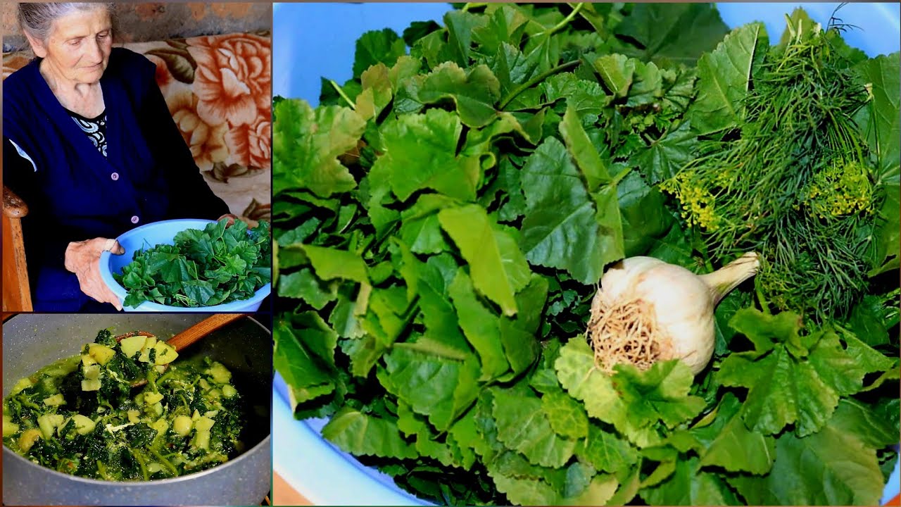 Տատիկիս Հավաքած Փիփերթն Էլ Կերանք Суп с Мальвой-Пипертом  Շամշադինի Համը  Шамшадин