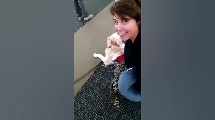 Windsor greets Stephanie at the airport.