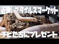 近畿レプとチビたちにプレゼント 近畿レプとチビたちにプレゼント