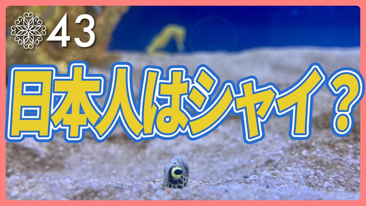 「日本人はシャイ！」って本当？【 ジャパンウーマンソサエティ 】 YouTube