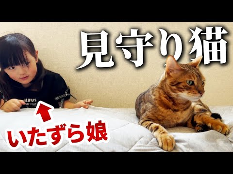 レノックス猫 ( 英字新聞を読む ) Cat Chronicles 猫語の教科書 | KADOKAWA Masterpiece Comics