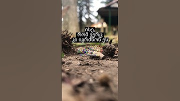اسلام صبحي سوره النمل