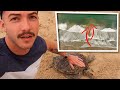 ISSO É O Que MAIS CAUSA AFOGAMENTOS Em TODAS AS PRAIAS Que EXISTEM (Aprenda e Evite) DAILY VLOG 093#