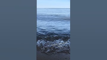 Calvert Cliffs — Lusby, Maryland