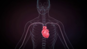 Introducing AutocathFFR