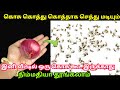       mosquito repellent kosu thollai neenga kitchen tips tamil tips