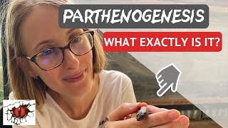 What is Parthenogenesis?