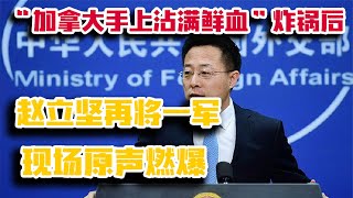 “加拿大手上沾满鲜血”炸锅后,赵立坚再将一军,现场原声燃爆