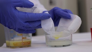 Test your food for aflatoxin on your smartphone