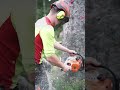 🌲🐞 Käferholz-Jagd im Schwarzwald – für nachhaltiges Bauen & echten Klimaschutz 🌍⚒️