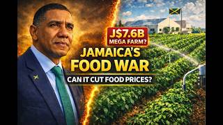 Download Lagu Jamaica's Food War: Will Essex Valley's J$7.6B Mega Project Cut Prices? MP3