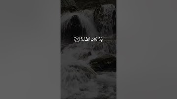 القارئ سالم الرويلي - سورة عبس | مقاطع قرآن قصيرة وحالات واتس إسلامية 🌱