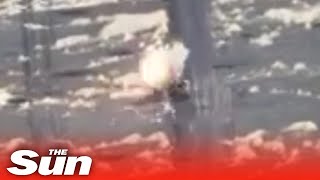 Ukrainian forces blast Russian Z tank in the Donetsk region