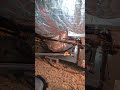 Crawlspace Fun! #hvac #hvaclife #airconditioner #dallas #hvactechnician