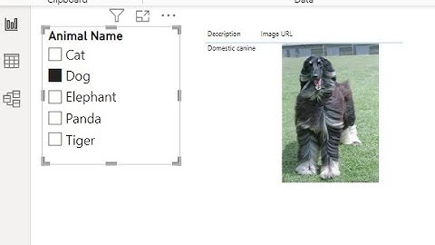 Show Images from Image URL field in Power BI Dynamically