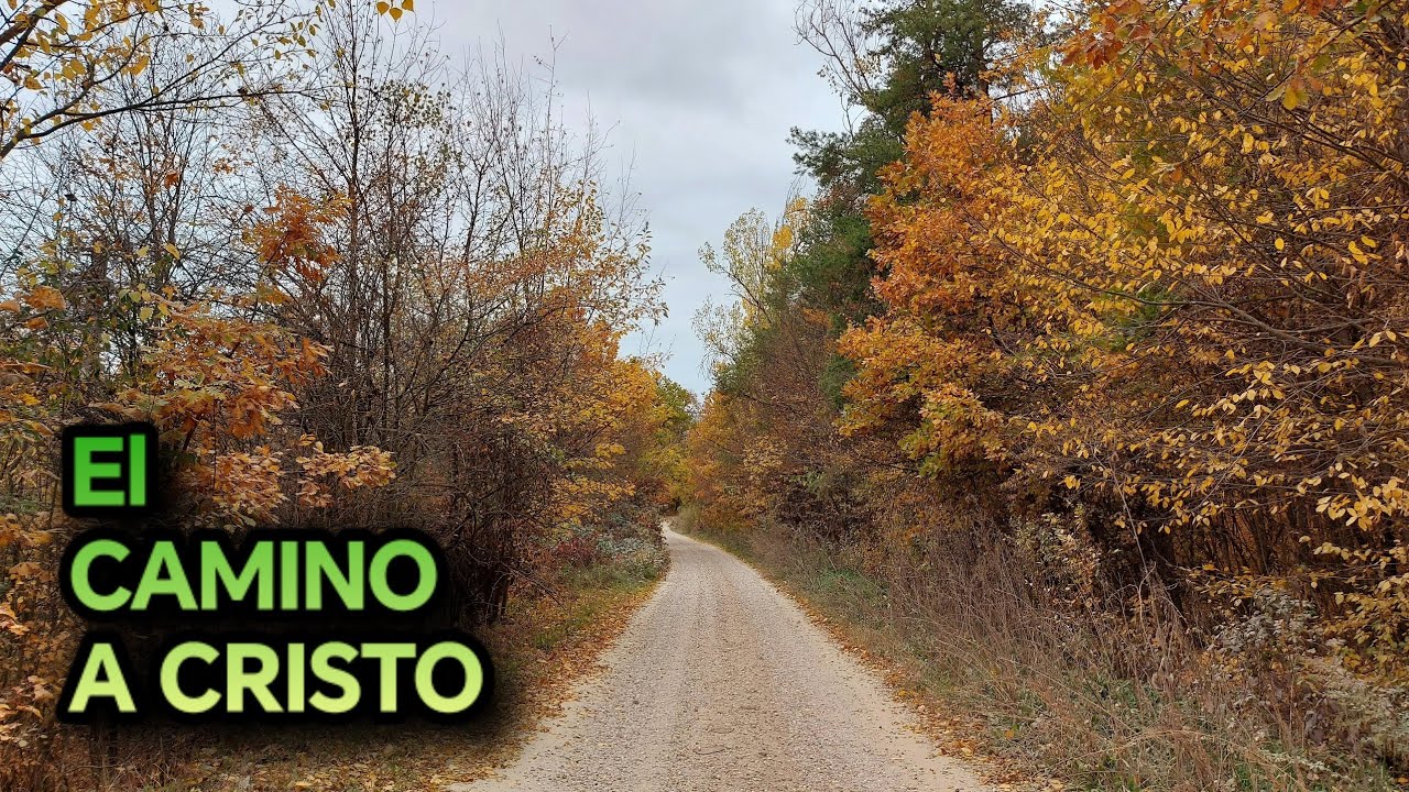 ELENA G DE WHITE EL CAMINO A CRISTO - YouTube