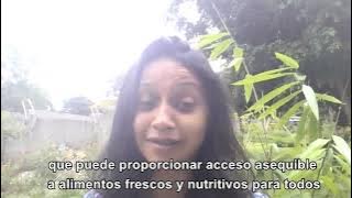 Isabelle Foster Author Insight Video