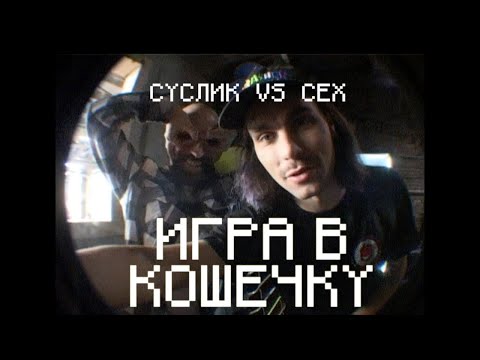 Видео: ИГРА В КОШЕЧКУ. Сех против Суслика.