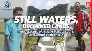 Still waters, drowned lands: Hydroelectric dam devastates wildlife, livelihoods in Indonesia