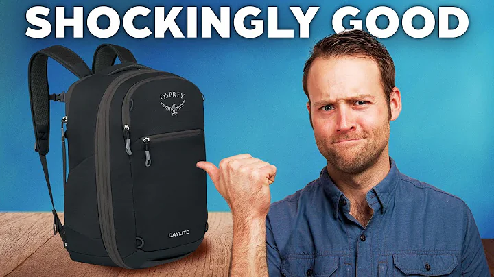 Why Didn't ANYONE Tell Me About This Travel Backpack?